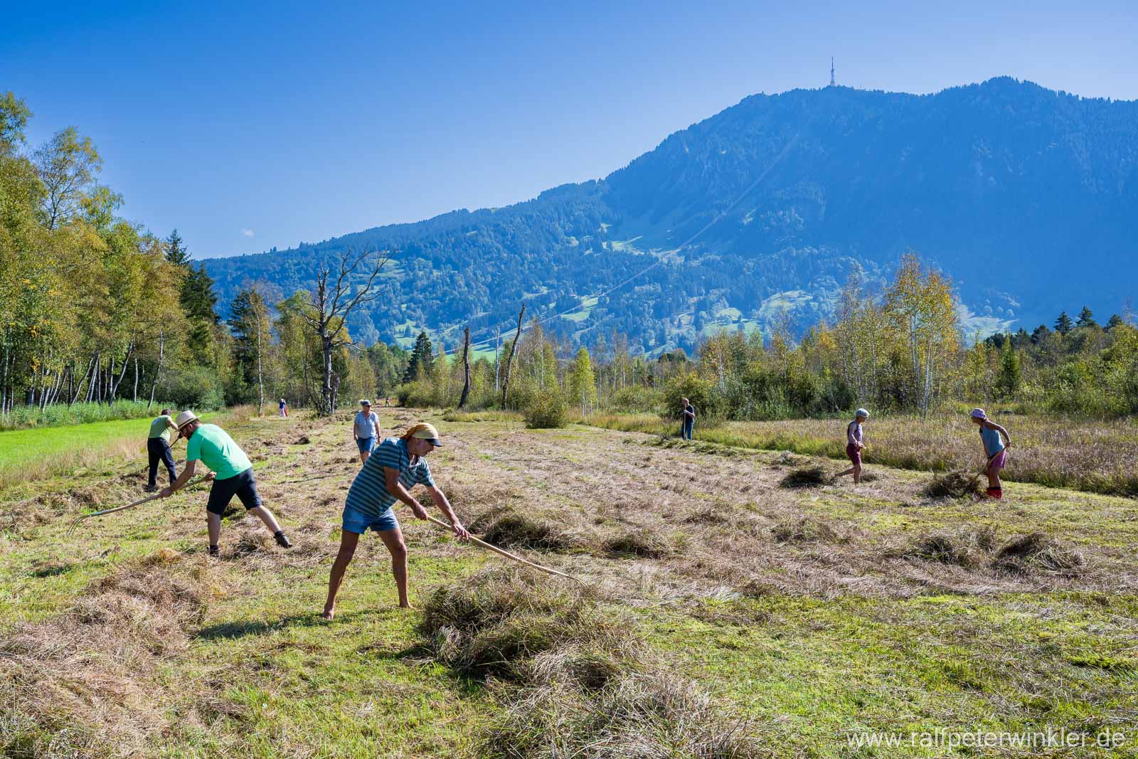 Heuaktion 2024 im Felmer Moos